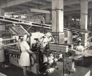 (02.02.) Las fábricas de Zorrotzaurre.